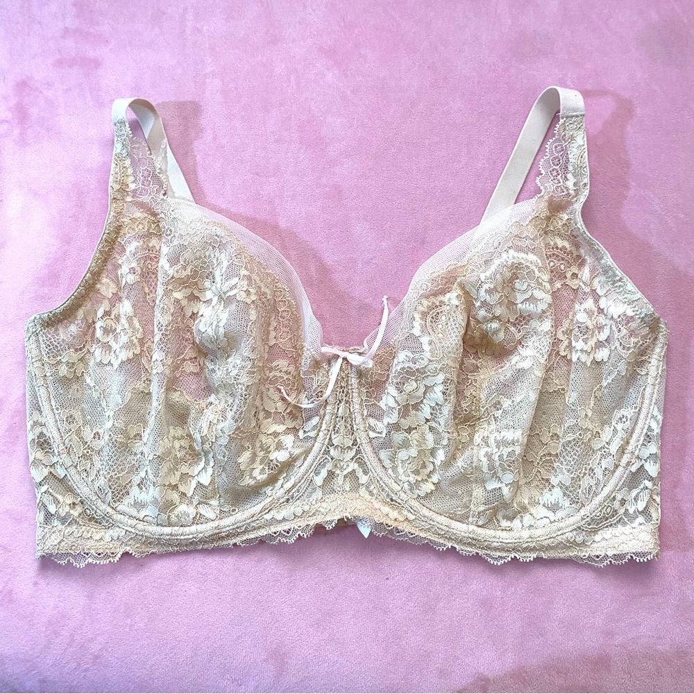 GORGEOUS Skarlett Blue 36H Bra Underwire Full Coverage Lace Embroidered Sheer